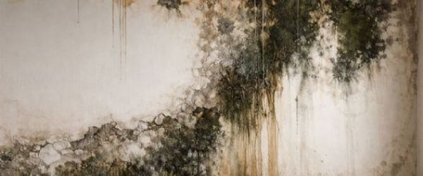 告別壁癌漏水惡夢！老屋防水工程關鍵一次搞懂